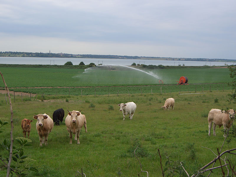 Ragmarsh Farm, Essex