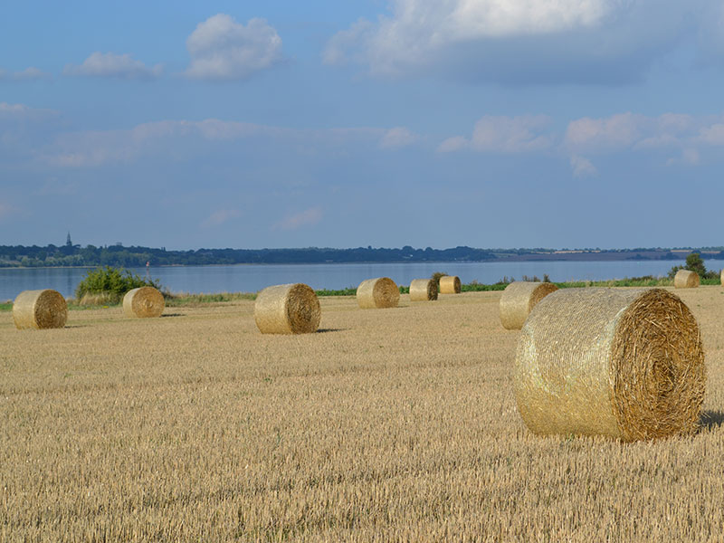 Ragmarsh Farm, Essex