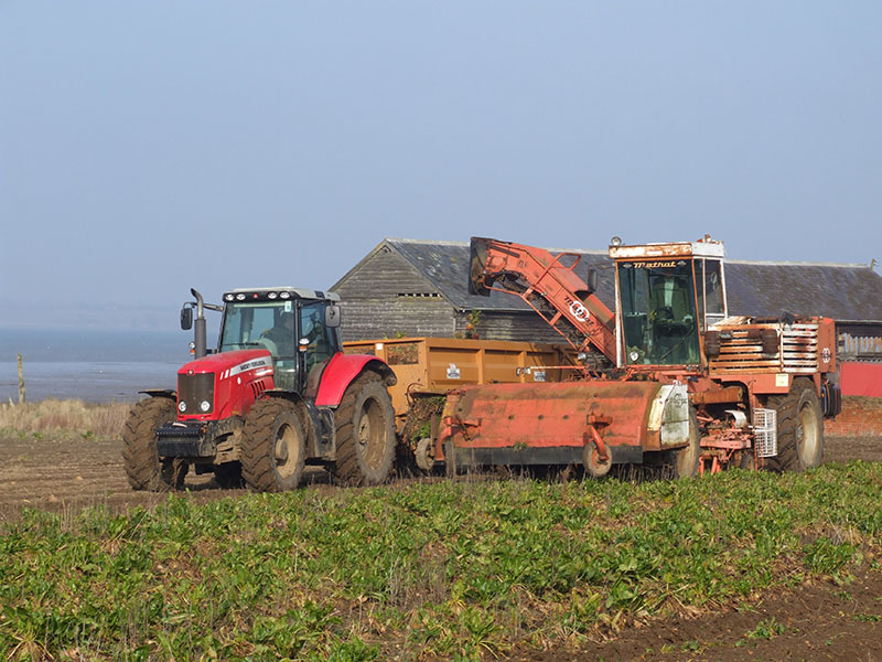 Ragmarsh Farm, Essex