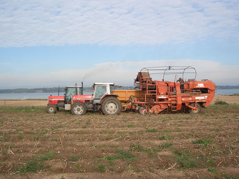 Ragmarsh Farm, Essex