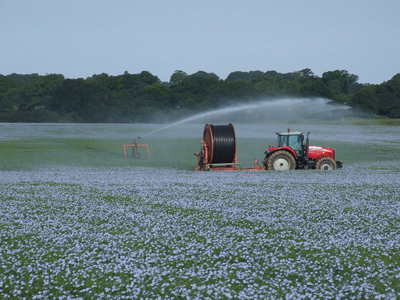 Ragmarsh Farm, Essex