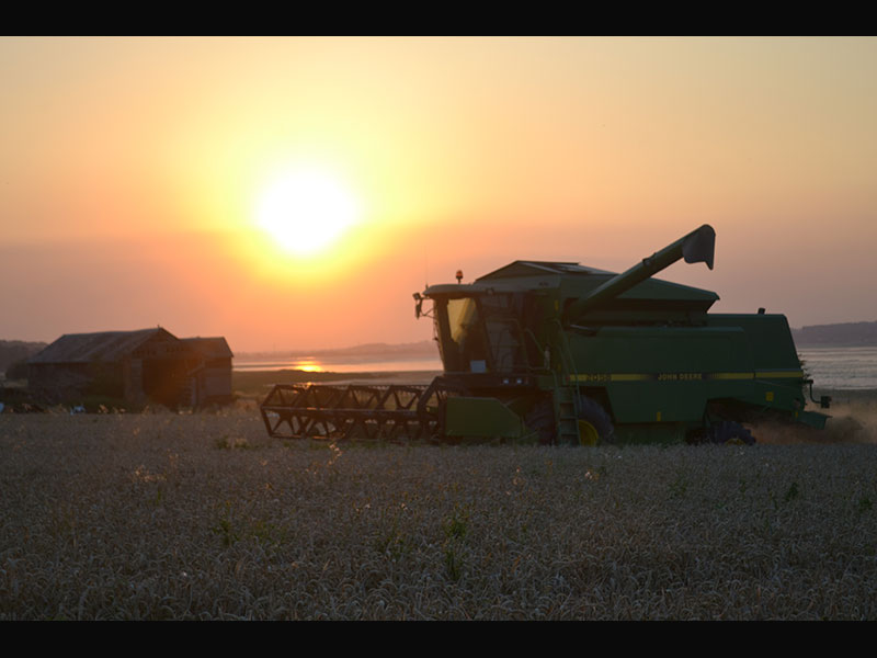 Ragmarsh Farm, Essex