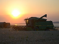 Ragmarsh Farm, Essex